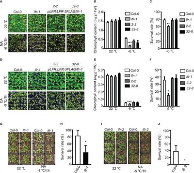 Arabidopsis LFR, a SWI/SNF complex component, interacts with ICE1 and activates ICE1 and CBF3 expression in cold acclimation